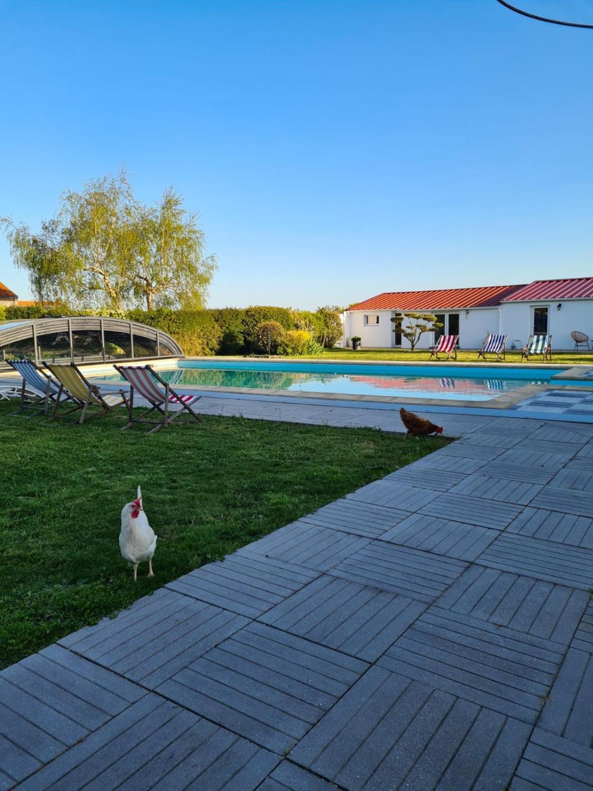 Ty Grain De Sel : Logement Privatif Avec Piscine, Jardin Et Patio Chauvé المظهر الخارجي الصورة